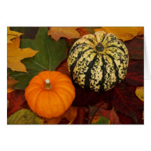 pumpkin greeting card