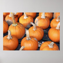 pumpkin line-up poster