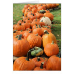 Pumpkin Patch Card