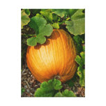 Pumpkin Patch Gallery Wrapped Canvas