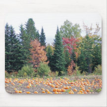 Pumpkin Patch Mouse Pad