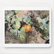 pumpkin patch mouse pads