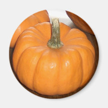 Pumpkin Refrigerator Magnet