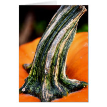 Pumpkin up close greeting card