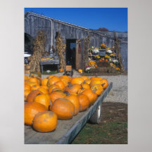 Pumpkins and Farmstand Posters