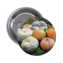 Pumpkins and Squashes Pin