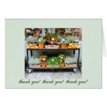 Pumpkins & Chinese Lanterns - Thank you card