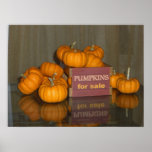 Pumpkins for Sale Poster