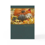 Pumpkins for Thanksgiving Greeting Card