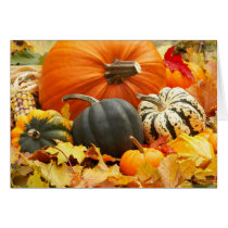 Pumpkins in Fall Leaves card cards