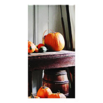 Pumpkins in Kitchen