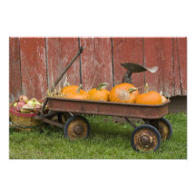 Pumpkins in old wagon photo