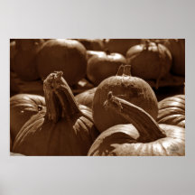Pumpkins Print