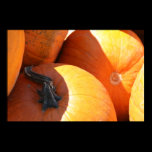 Pumpkins posters