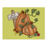 Pumpkins Thanksgiving Give Thanks Postcard