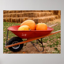 Pumpkins & Wheelbarrow Poster