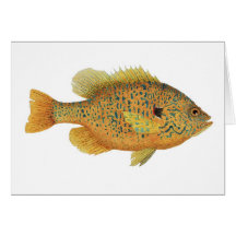 Pumpkinseed Sunfish Watercolor Card