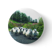Punk Sheep on the Beara Peninsula Ireland Pinback Buttons