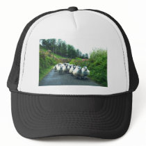 Punk Sheep on the Beara Peninsula Ireland Hat