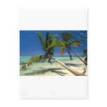 Punta Cana Post Cards