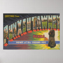 Punxsutawney, Pennsylvania (Groundhog) Print