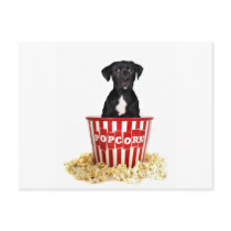 Pup-Corn anyone? Postcard