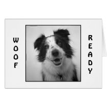 PUP IS "WOOF AND READY' CELEBRATE MUTUAL BIRTHDAY cards