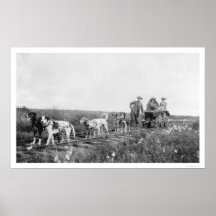 Pupmobile Train Nome, Alaska 1906 Posters