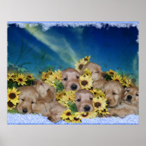 PUPPIES AND FLOWERS - GOLDEN RETRIEVER POSTER