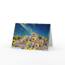 PUPPIES AND FLOWERS (GOLDEN RETRIEVERS) CARDS