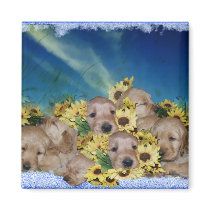 PUPPIES AND FLOWERS (GOLDEN RETRIEVERS) MAGNET