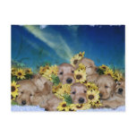 PUPPIES AND FLOWERS (GOLDEN RETRIEVERS) postcards