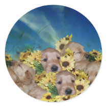 PUPPIES AND FLOWERS (GOLDEN RETRIEVERS) ROUND STICKERS