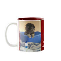 Puppies Bath Time Coffee Mugs