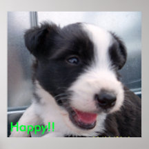 puppies, Happy!! Poster