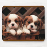 puppies mouse pad