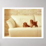 Puppies On The Sofa Print