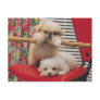 Puppies Playing Postcard