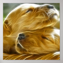Puppies Sleeping Posters