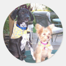 Puppy Card Stickers