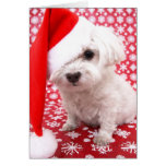 Puppy Christmas Card