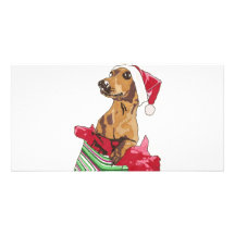 PUPPY CLAUS CUSTOMIZED PHOTO CARD