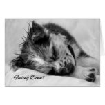 Puppy Dog Encouragement Card cards