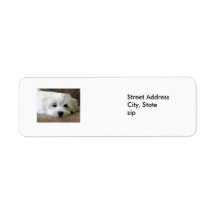 Puppy Eyes Custom Return Address Labels