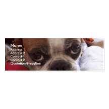 Puppy eyes Profile Card Business Card Template