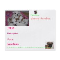 Puppy Flyers