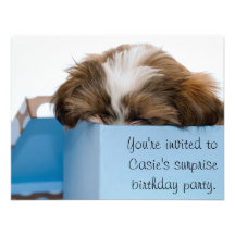 Puppy in a Box Custom Invite