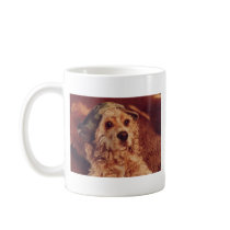 Puppy in a Camouflage Cap Mugs