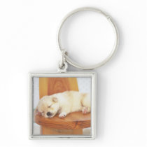 Puppy Key Chain
