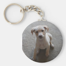 Puppy Keychains